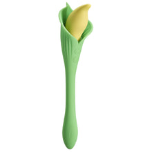 Load image into Gallery viewer, CLOUD 9 SPATHE LILY VIBE TWO-TONE GREEN
